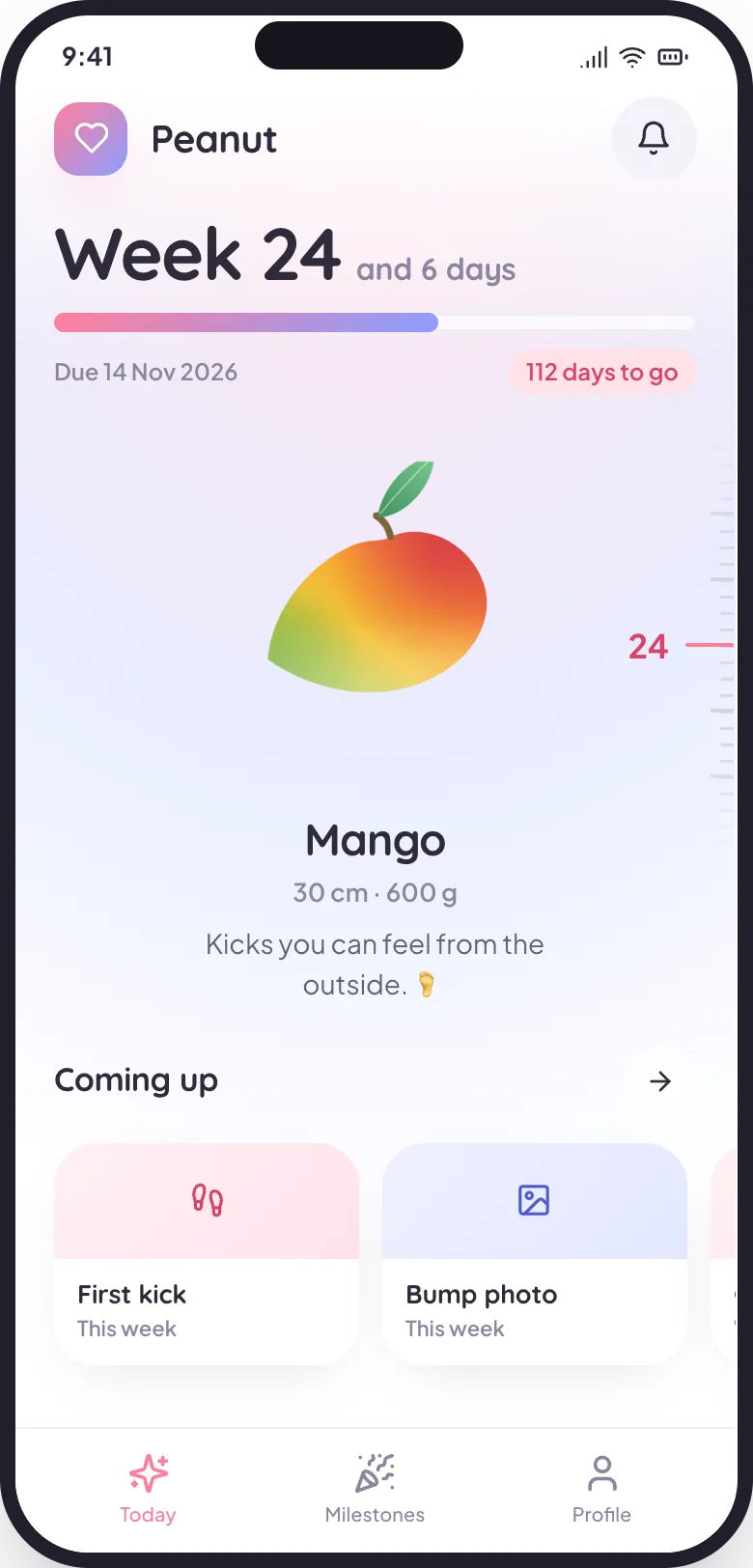 The BabyCheers Today screen: week 24 and 6 days, a progress bar, a mango showing this week's size, and a Coming up row.